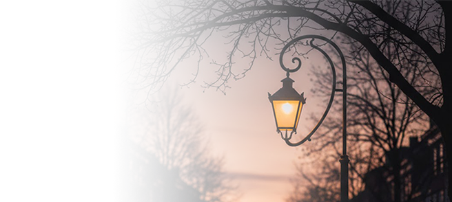 Durable Outdoor Area Lighting